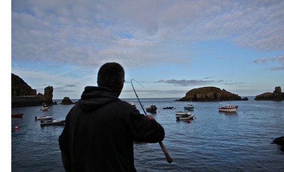 sark shore fishing