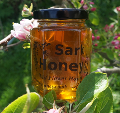 sark bee hives