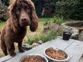 hide5